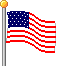 American Flag - American Company